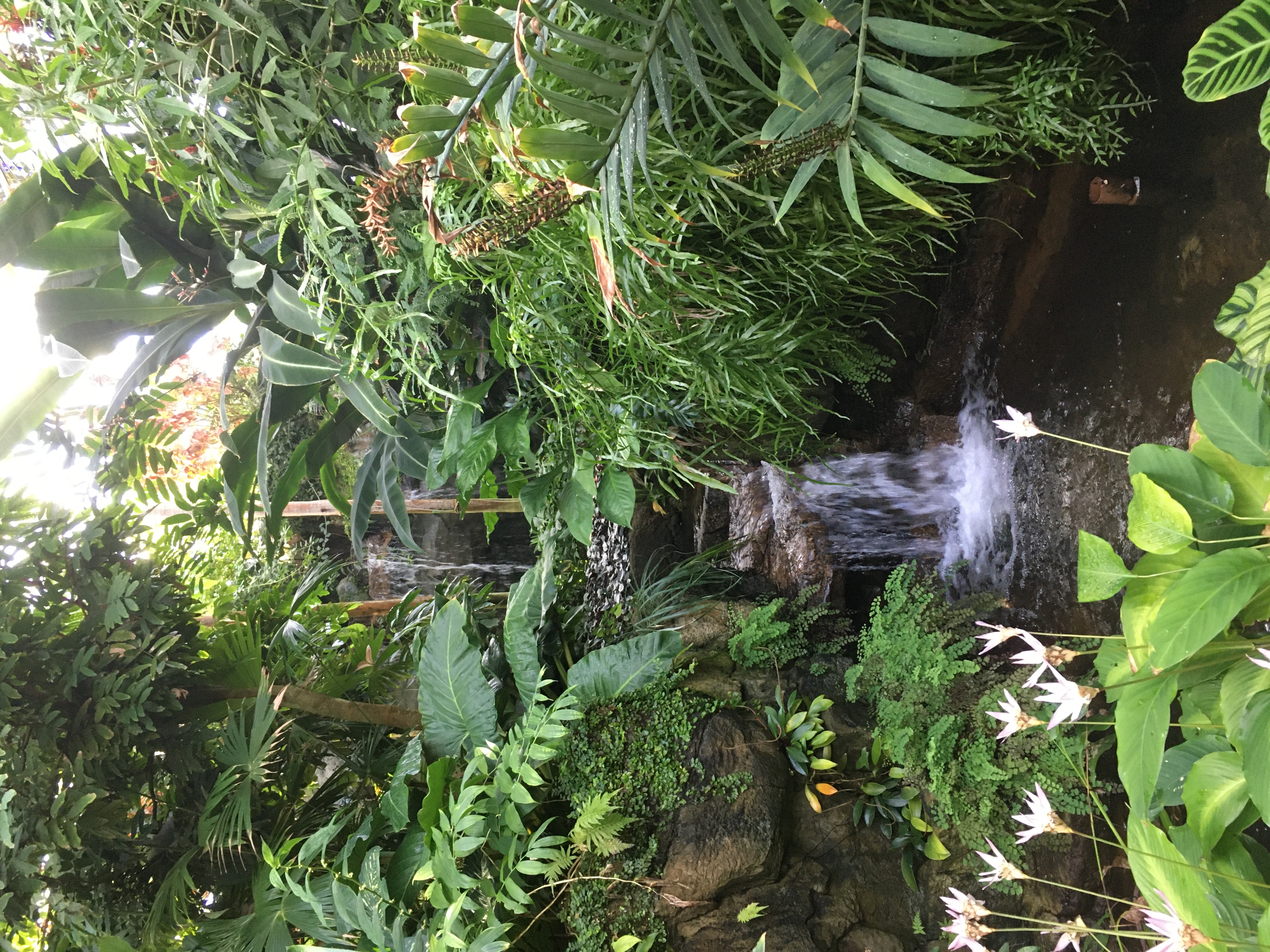 Missouri Botancial Garden