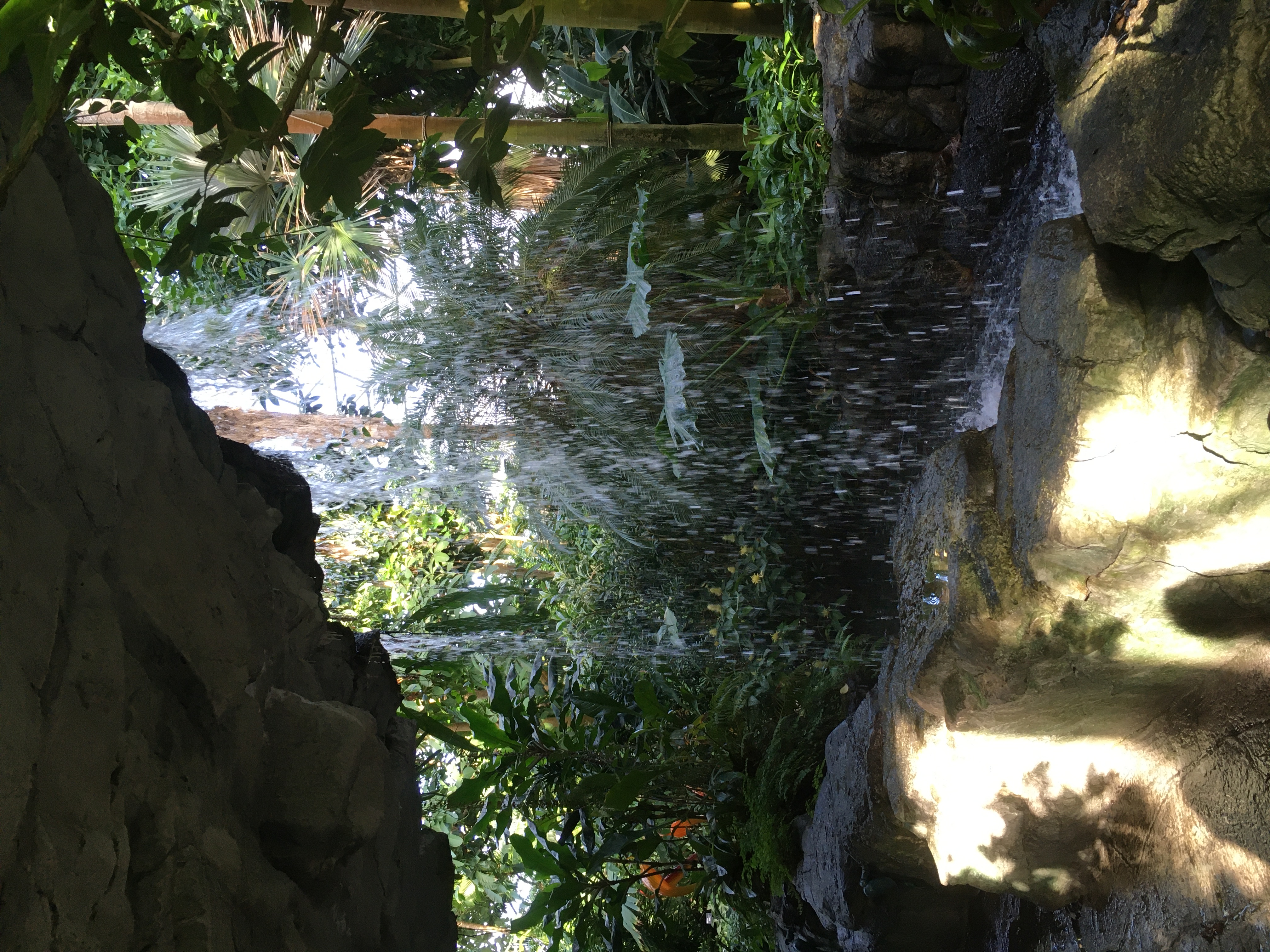 Missouri Botanical Garden