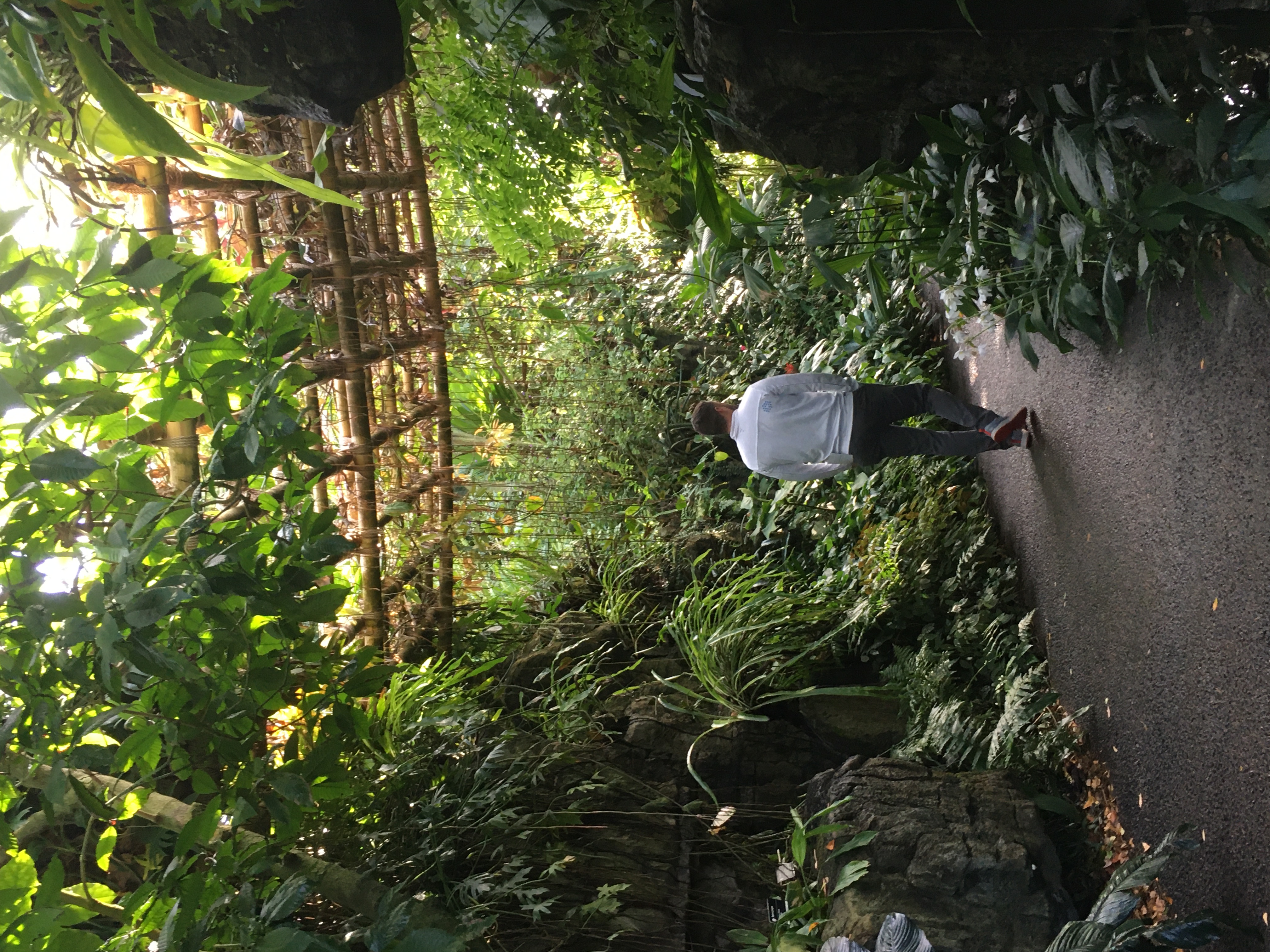 Missouri Botancial Garden