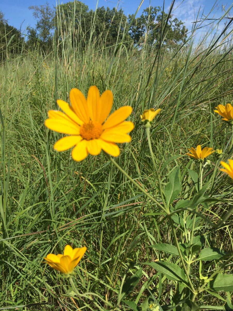 The Lazy Days of Summer