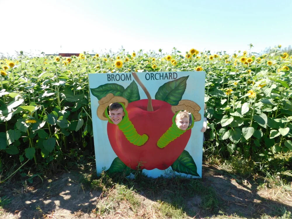 apple festival