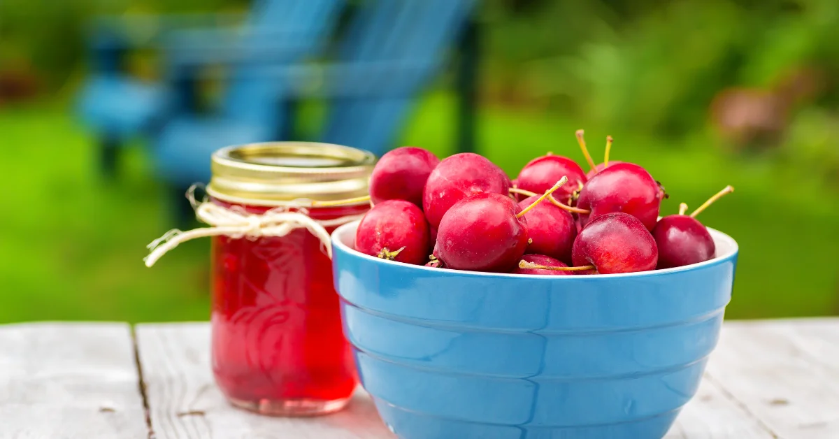 Crabapple Jelly Recipe