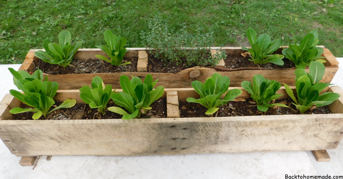 DIY Pallet Planter Boxes