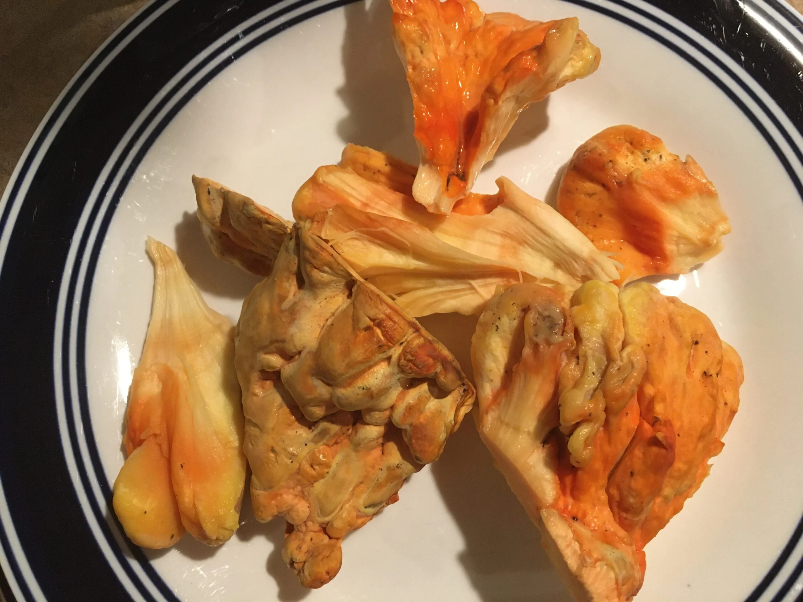 Chicken of the Woods