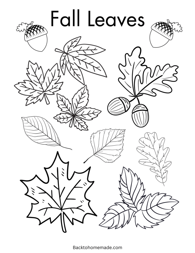 Printable Fall Coloring Sheets - Back to Homemade
