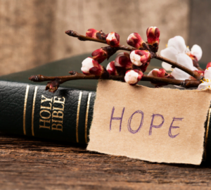 Having Hope in the New Year