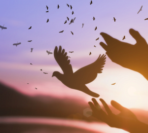 Having Hope in the New Year