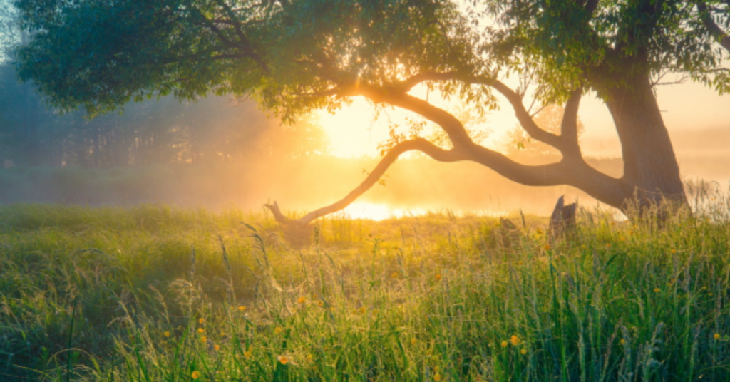 All is Well Family Update