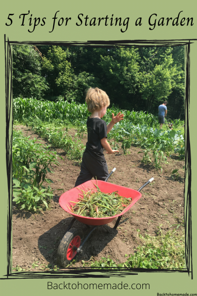5-Tips-for-Starting-a-Garden