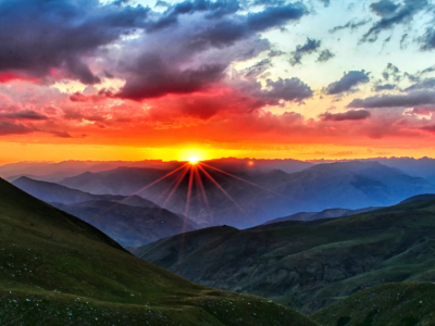 Untitled design(138)